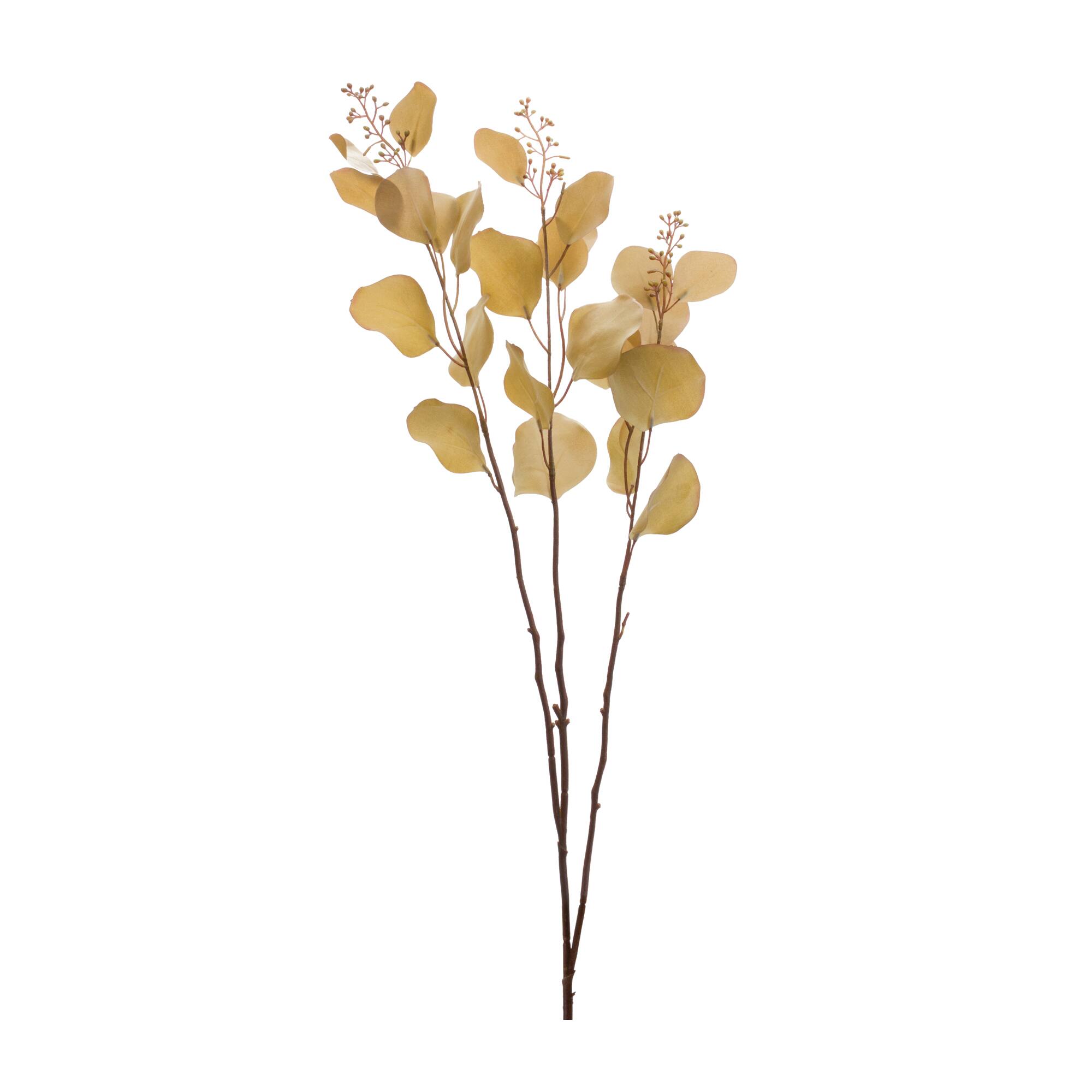 38" Seeded Eucalyptus Stems, 6ct.